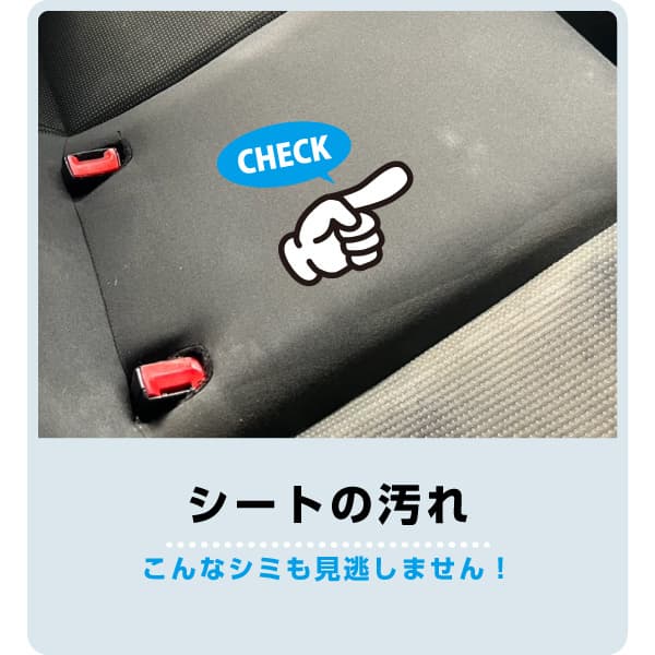 check01.jpg